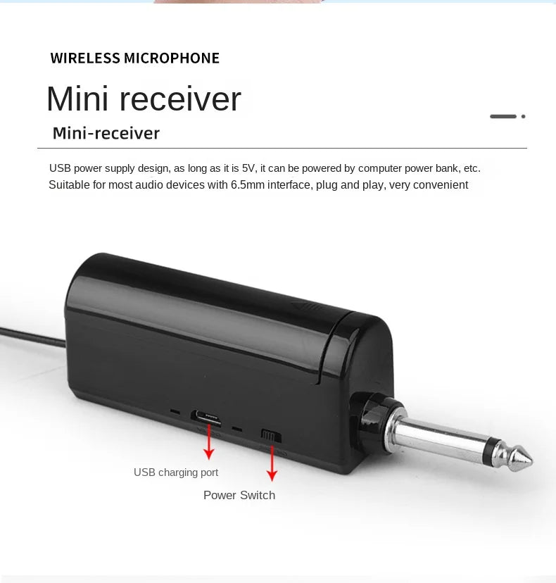 Wireless Microphone 2 Channels UHF Fixed Frequency Handheld Mic Micphone For Party Karaoke Professional Church Show Meeting